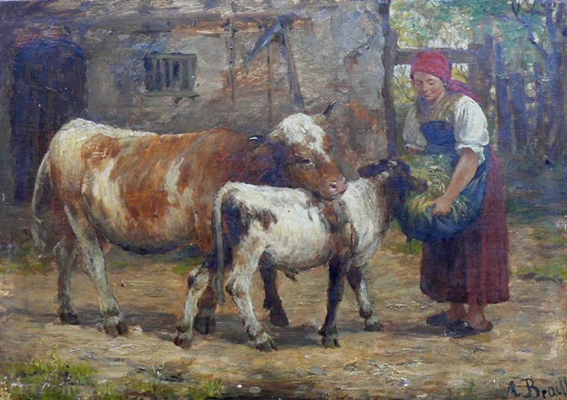 Contadina che allatta il vitello con la madre